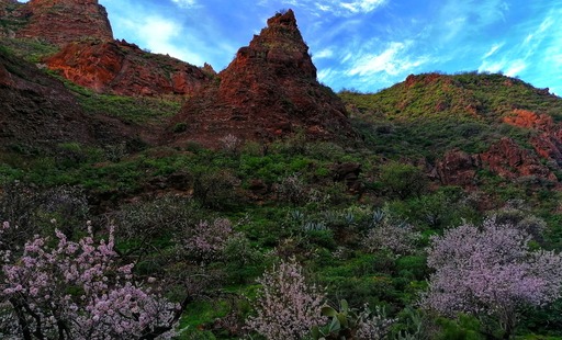 Barranco de Guayadeque - Pico de las Nieves