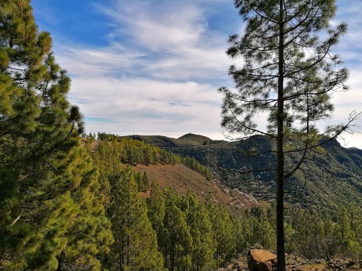 Barranco de Guayadeque - Pico de las Nieves