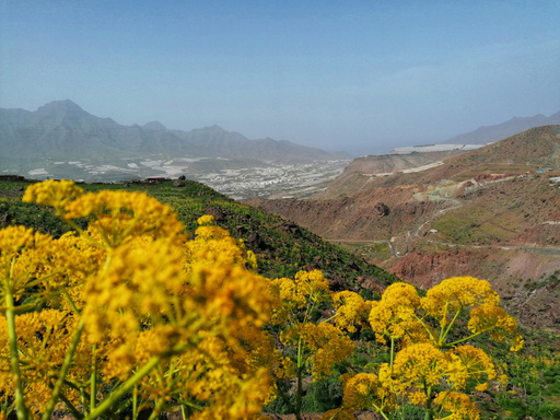Barranco del Pino Gordo