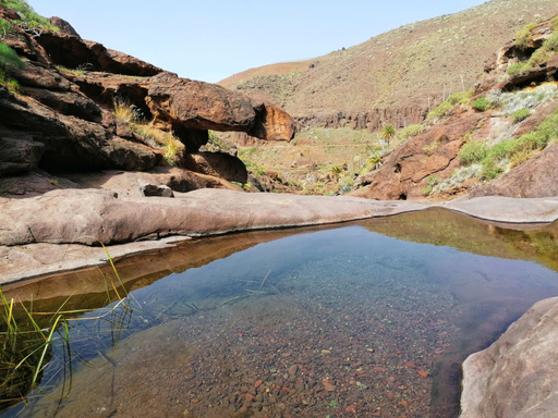 Barranco del Pino Gordo