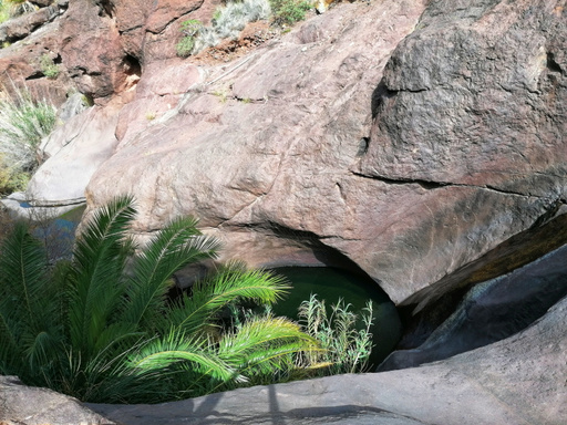 Barranco del Pino Gordo