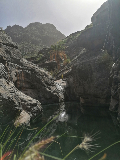 Barranco del Pino Gordo