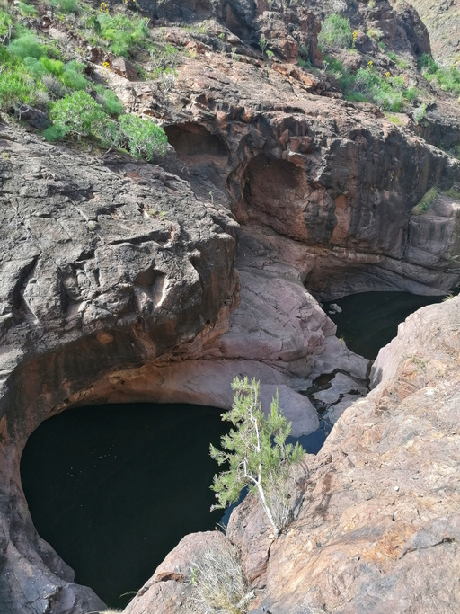 Barranco del Pino Gordo
