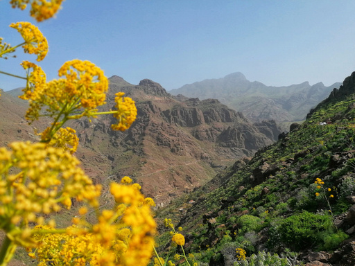 Barranco del Pino Gordo