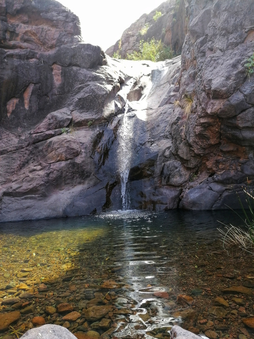 Barranco del Pino Gordo