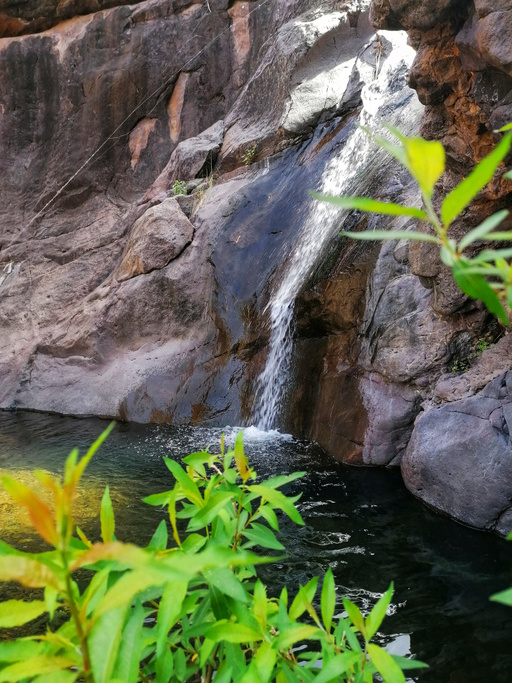 Barranco del Pino Gordo