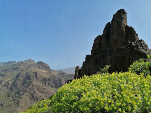 Barranco del Pino Gordo