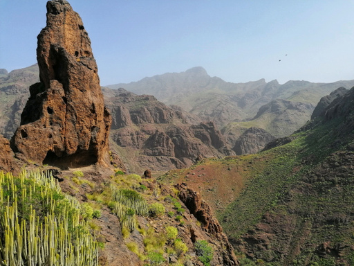Barranco del Pino Gordo