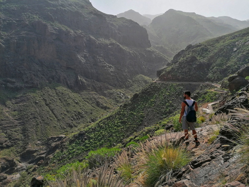 Barranco del Pino Gordo