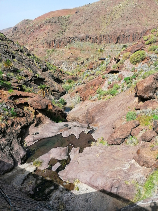 Barranco del Pino Gordo