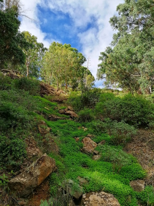 Presa del Pinto