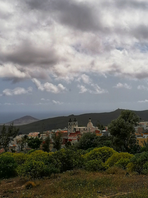 Ingenio – La Atalaya – Seto grillo