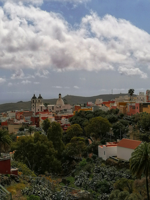 Ingenio – La Atalaya – Seto grillo