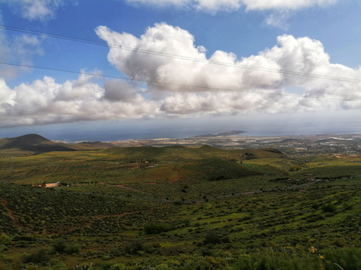 Ingenio – La Atalaya – Seto grillo