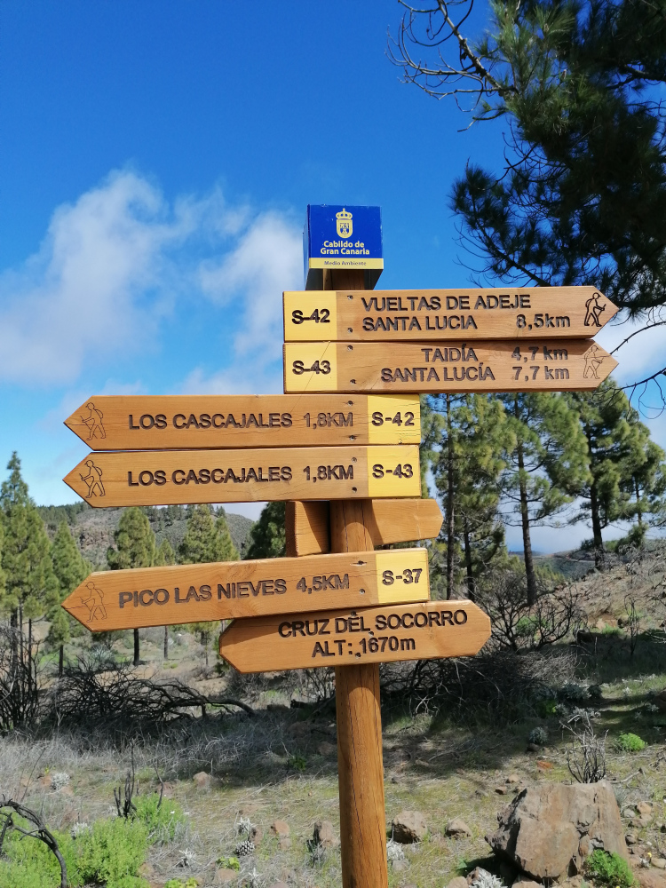 Barranco Guayadeque – Cruz del Socorro circular