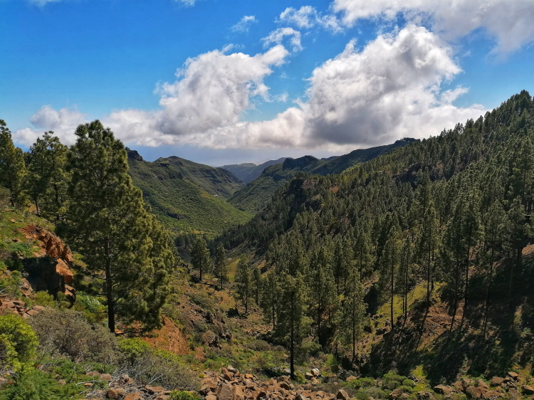Barranco Guayadeque – Cruz del Socorro circular