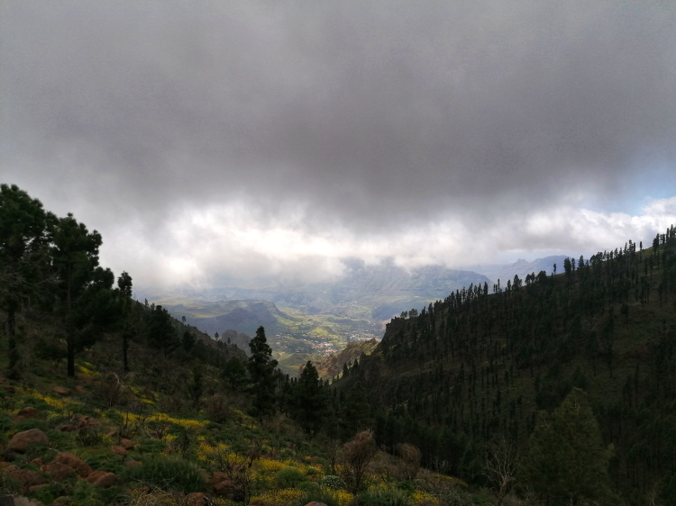 Barranco Guayadeque – Cruz del Socorro circular
