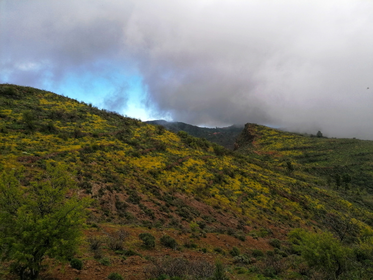 Barranco Guayadeque – Cruz del Socorro circular