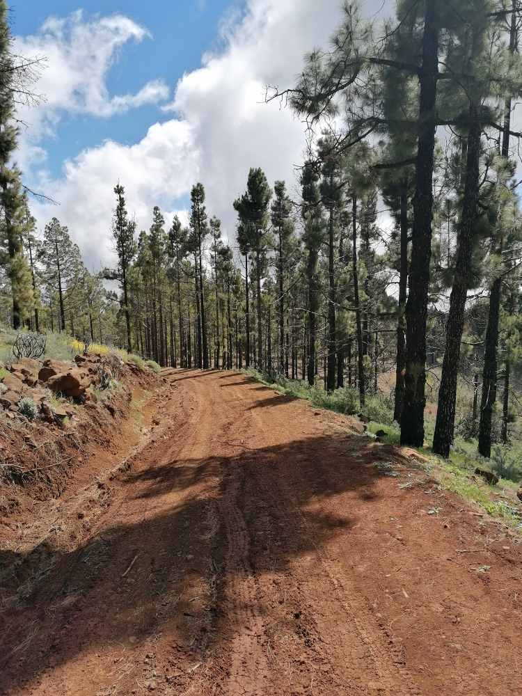 Barranco Guayadeque – Cruz del Socorro circular