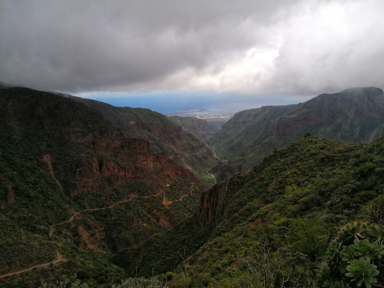 Barranco Guayadeque – Cruz del Socorro circular