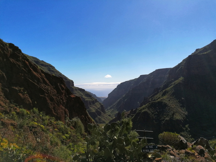 Barranco Guayadeque – Cruz del Socorro circular