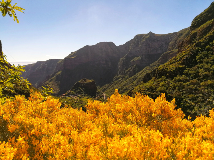 Barranco Guayadeque – Cruz del Socorro circular
