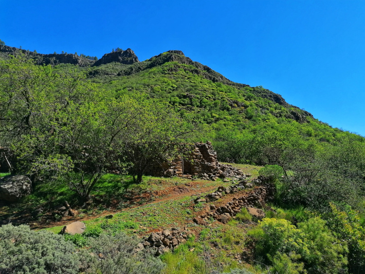 Barranco Guayadeque – Cruz del Socorro circular