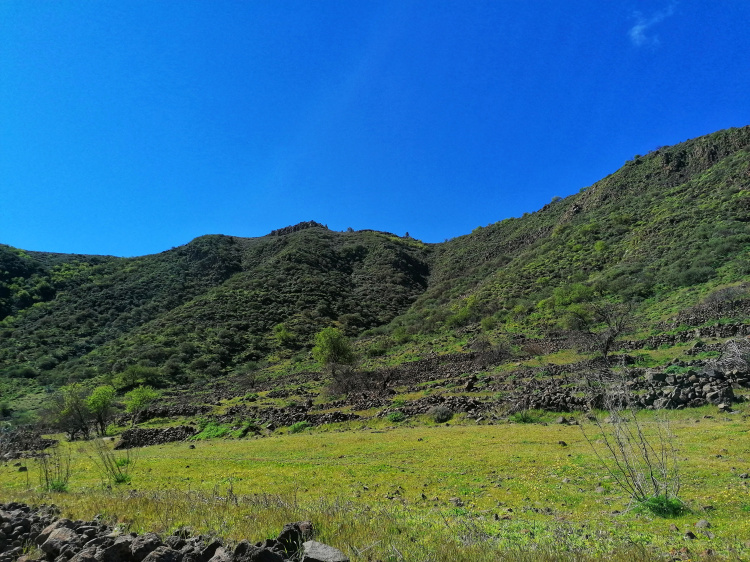 Barranco Guayadeque – Cruz del Socorro circular