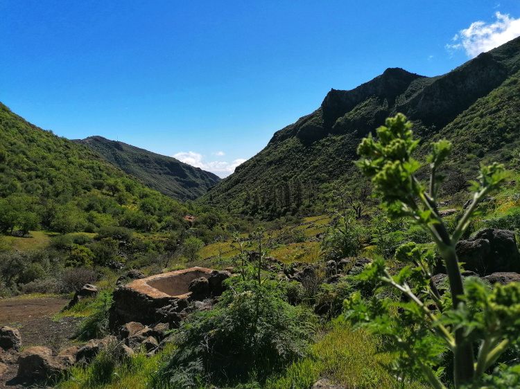 Barranco Guayadeque – Cruz del Socorro circular