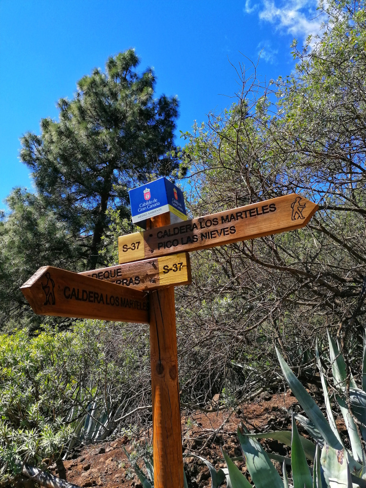 Barranco Guayadeque – Cruz del Socorro circular