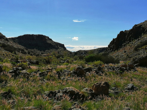 Barranco del Águila/Tariscal