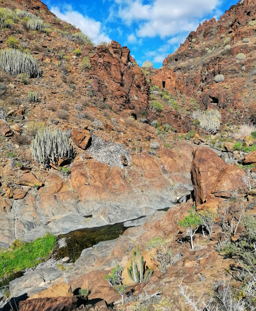 Barranco del Águila/Tariscal