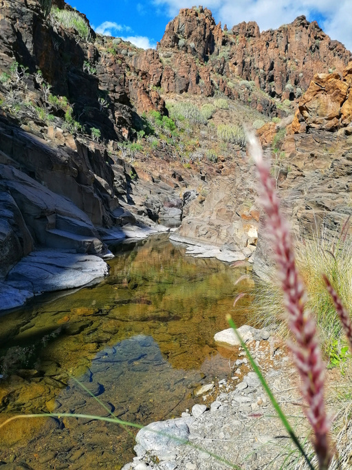 Barranco del Águila/Tariscal