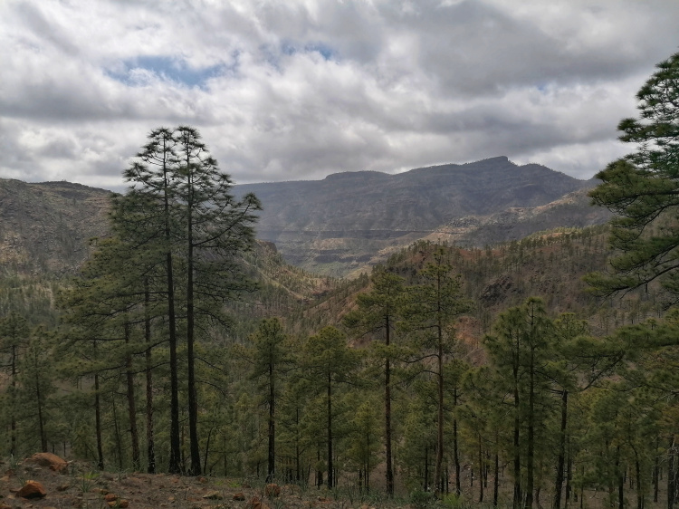 Ayagaures – Parque Natural de Pilancones – Las Tederas