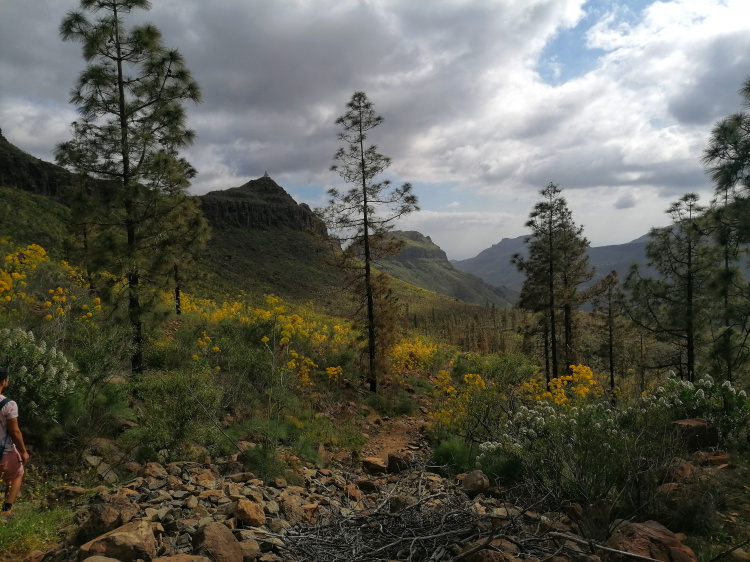 Ayagaures – Parque Natural de Pilancones – Las Tederas
