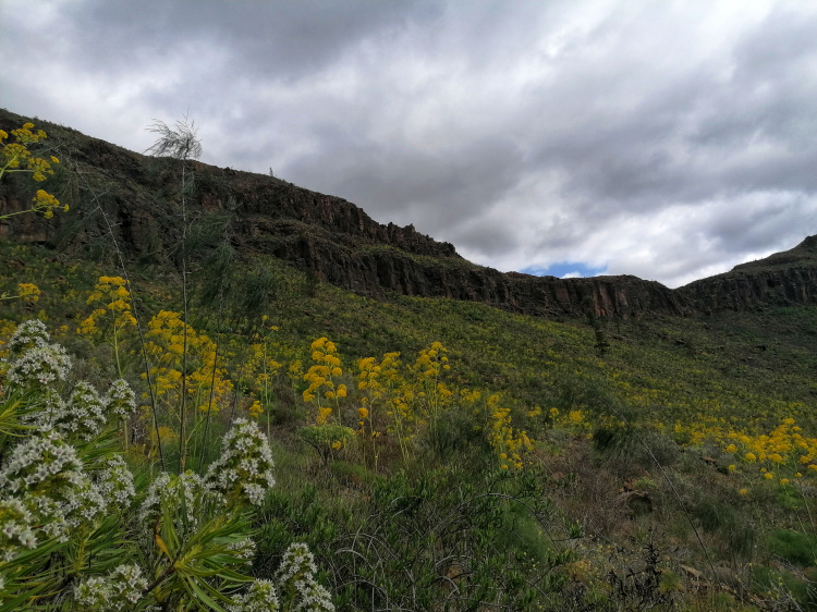 Ayagaures – Parque Natural de Pilancones – Las Tederas