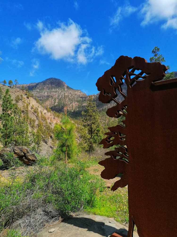Ayagaures – Parque Natural de Pilancones – Las Tederas