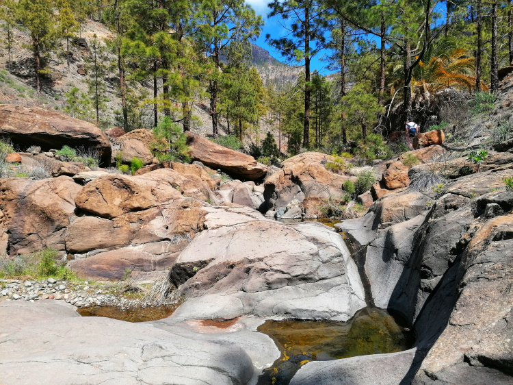Ayagaures – Parque Natural de Pilancones – Las Tederas