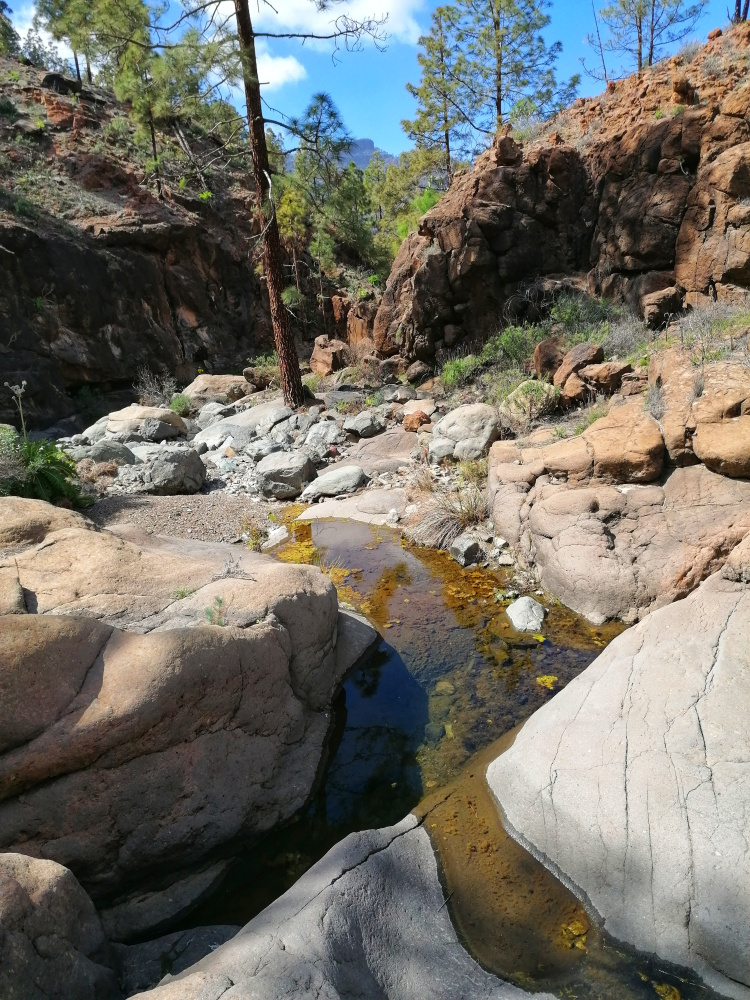 Ayagaures – Parque Natural de Pilancones – Las Tederas