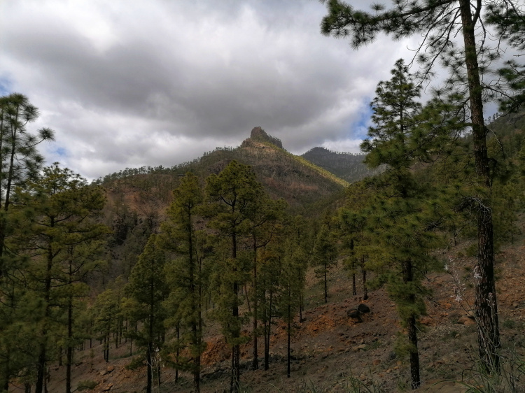 Ayagaures – Parque Natural de Pilancones – Las Tederas