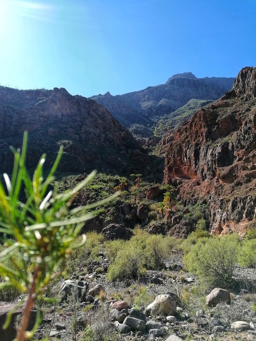 Presa de Tirajana -  La Sorrueda