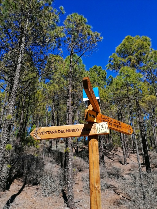 Llanos de la Pez – Ventana del Nublo